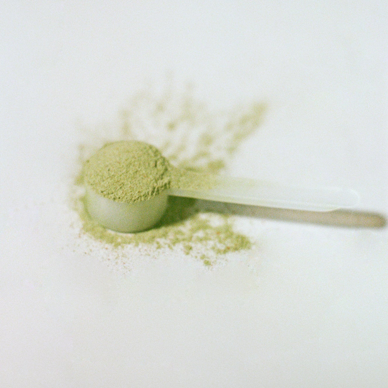 Health + Wellness