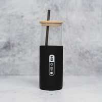 Glass Straw Water Bottle